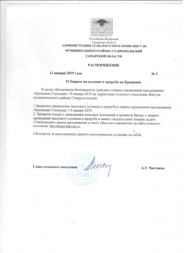 Распоряжение №3 от 11.01.2019