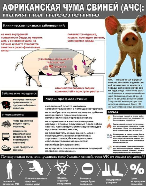 Памятка для населения