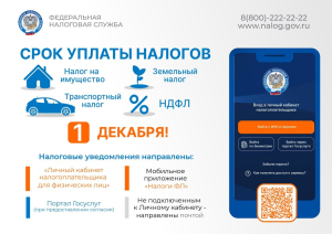 Срок уплаты налога