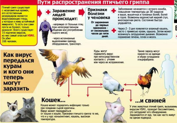 Памятка для граждан
