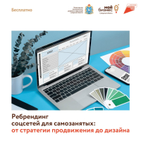 Самозанятые Самарской области смогут бесплатно провести ребрендинг своих бизнес-аккаунтов в соцсетях